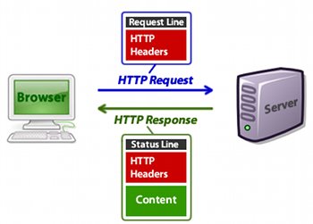 The Basics of Web Servers