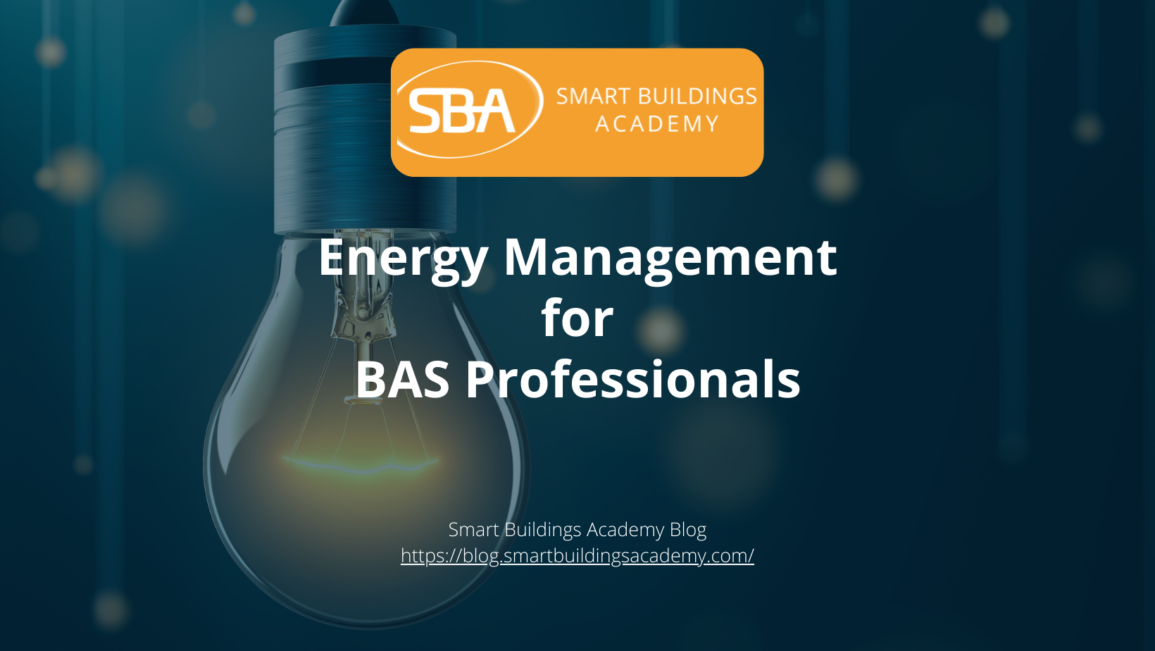 Energy Management for BAS Professionals